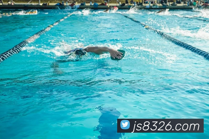 澳门金沙国际服务体系